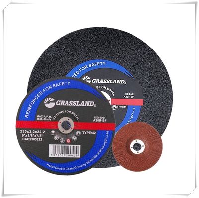smerigliatrice di angolo di acciaio inossidabile del MPA 30grit di 100x3.2x16mm Blade
