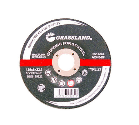 Ruote tagliate stridenti di acciaio inossidabile del pascolo 125X6mm